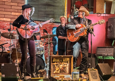 Hogan & Moss and the Old Weird America